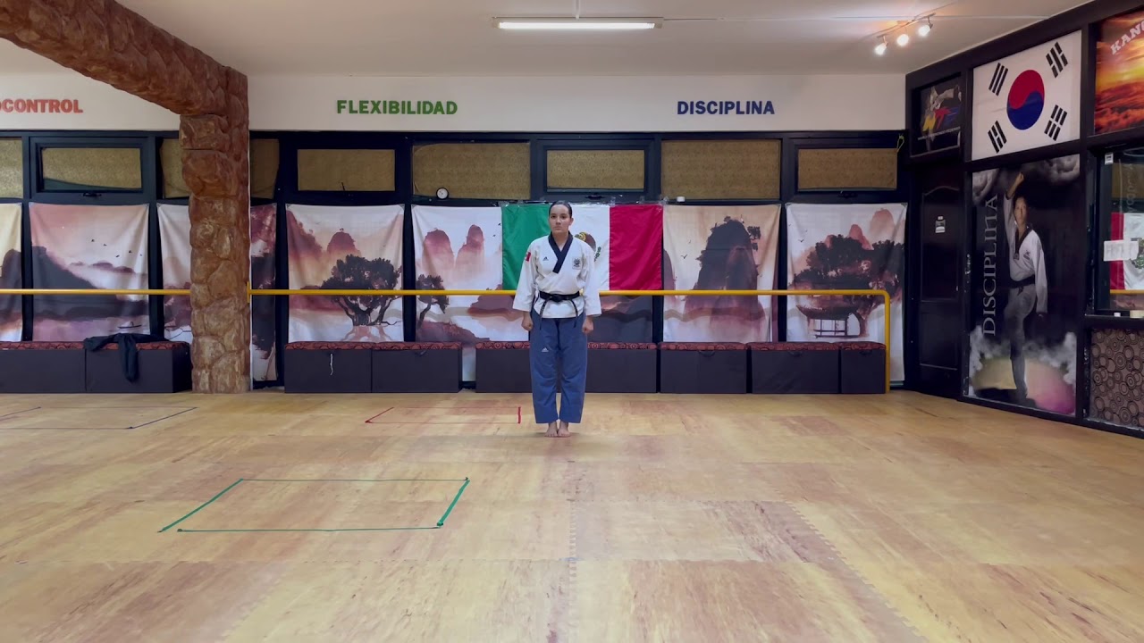 [WT Taegeuk 7] F Under 30/ Paula Fregoso / 0015 / Semifinal