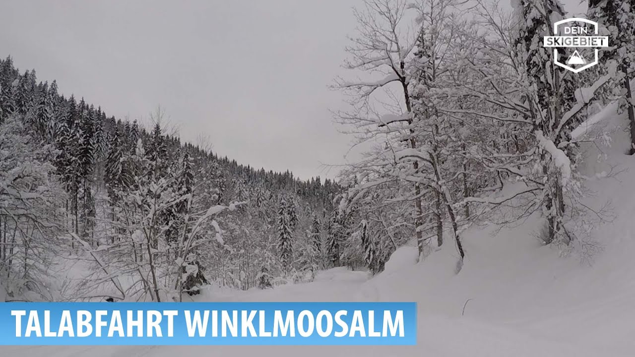 Skigebiet Winklmoosalm/Reit im Winkl: Talabfahrt zum Seegatterl