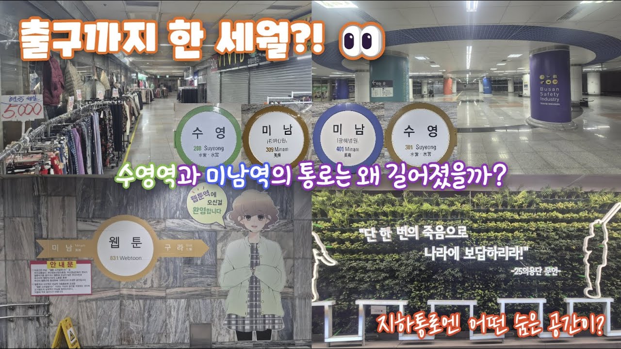 (부산) 환승은 1분, 출구는 10분? 연결통로 끝판왕 '수영 vs 미남' 전격 비교! ✨