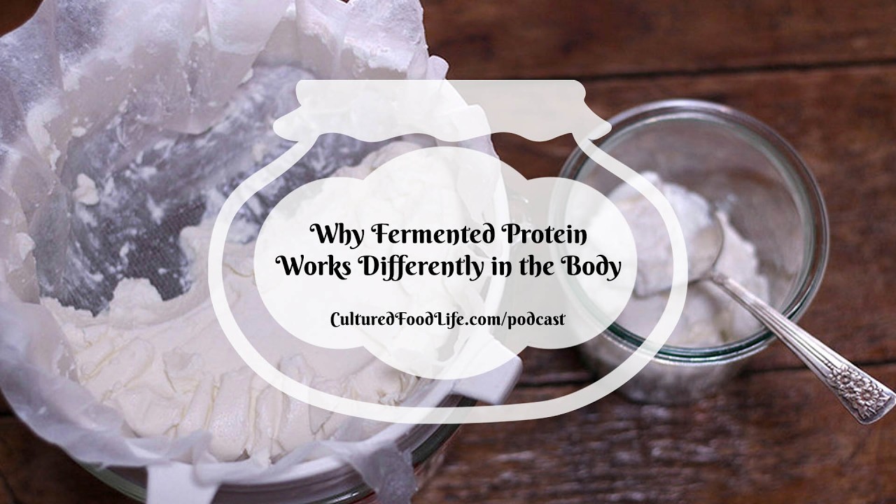 Podcast Episode 348: Why Fermented Protein Works Differently in the Body