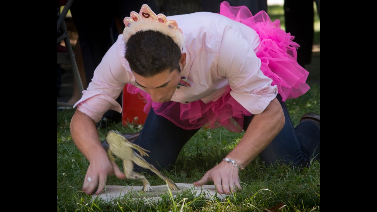 Annual frog jumping contest at state Capitol in Sacramento