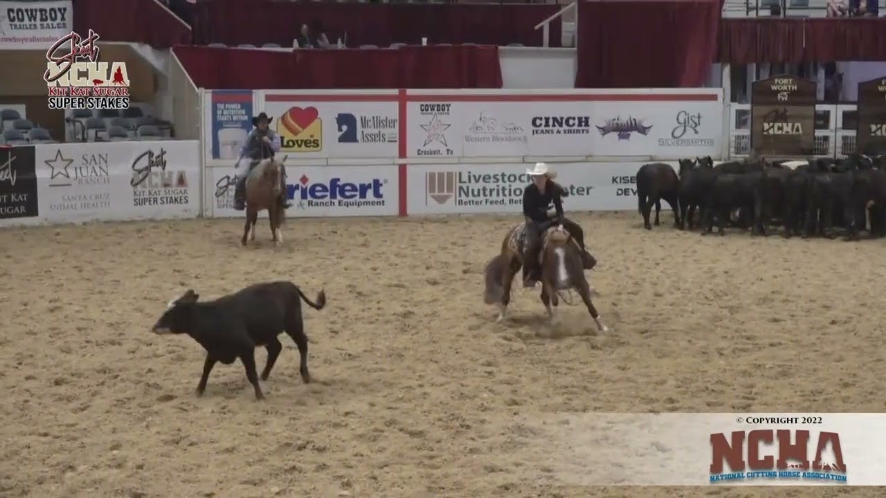 Reysin A Talker- 2021/2022 NCHA Show Videos