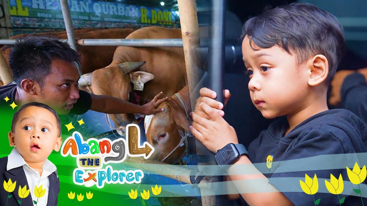 Mau Beli Hewan Kurban, Abang L Tanya Langsung Mamang Penjualnya | Abang L The Explorer