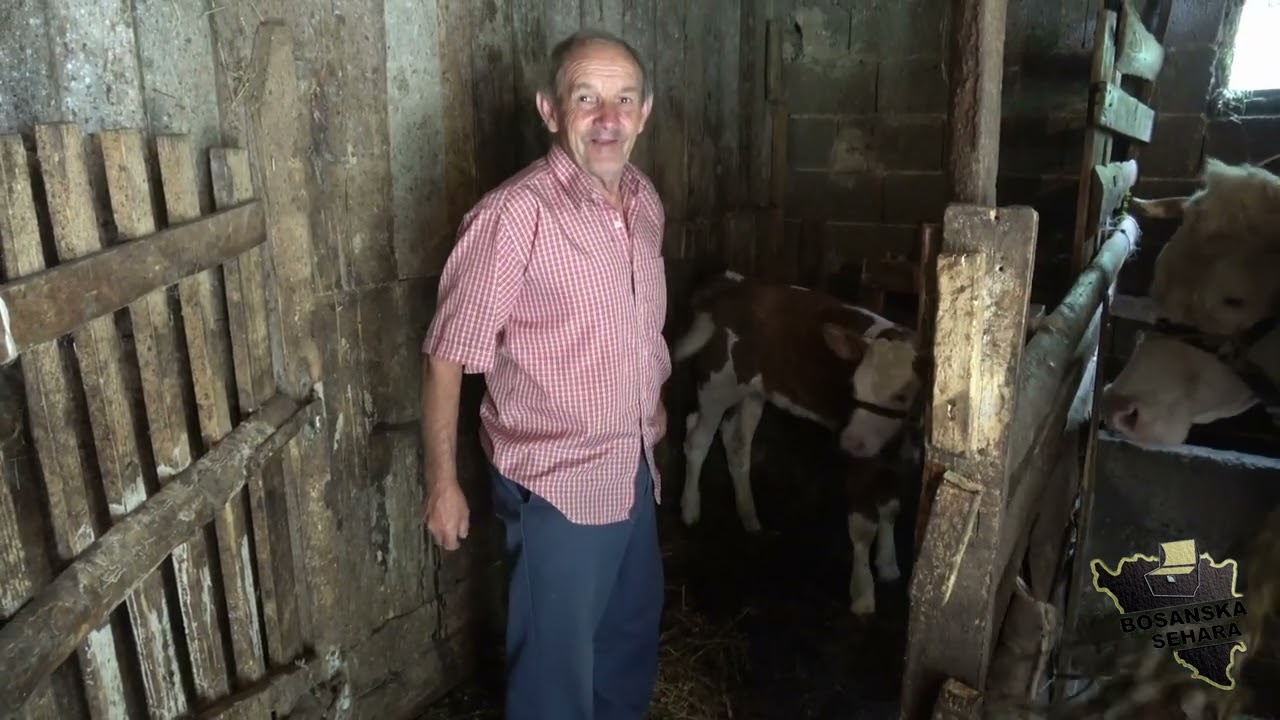 Govorili su mi da sam gurbet što skupljam željezo.Ja uze dobre pare