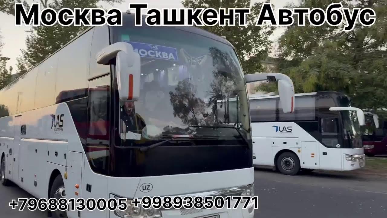 moskVa toshkenT avtobus