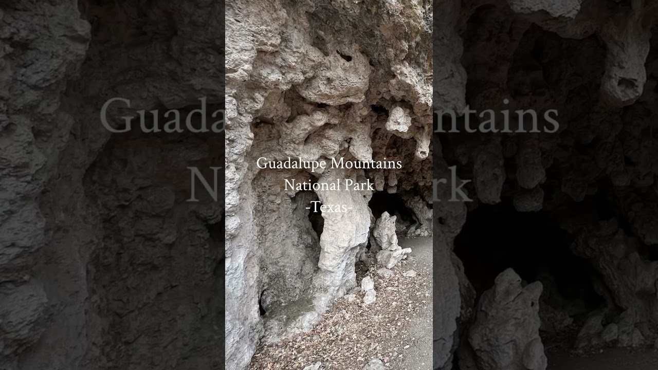 Travelers Guide - Guadalupe Mountains National Park