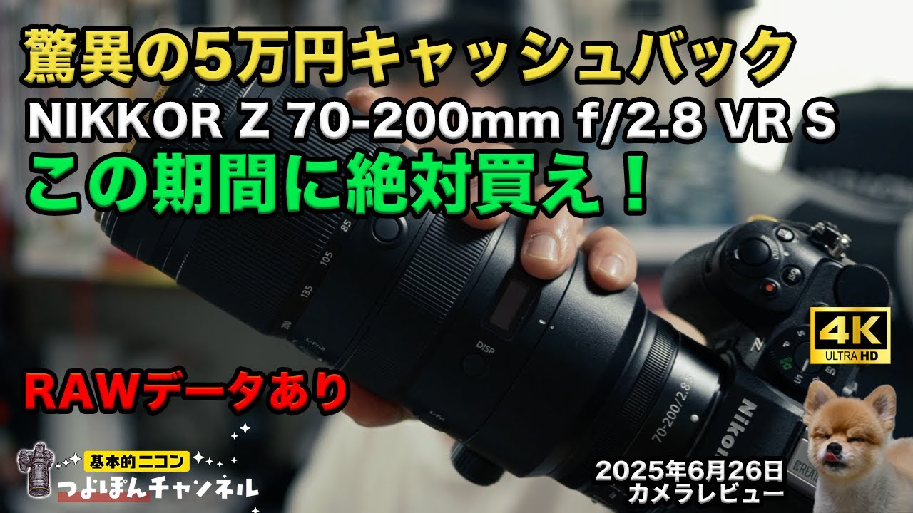 【キャッシュバック5万円】NIKKOR Z 70-200mm f/2.8 VR S【2025/6/27-8/25】