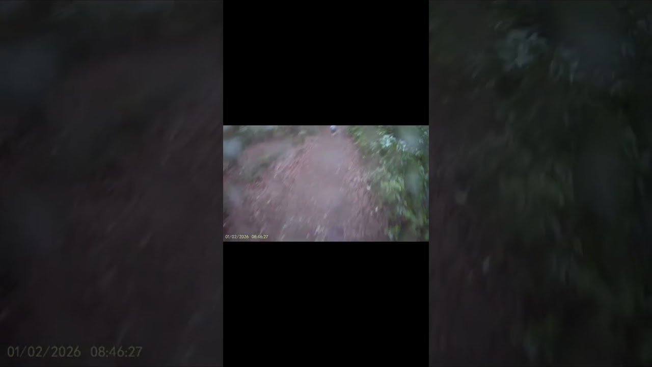 Haldon Forest Winter Run 10K 2026