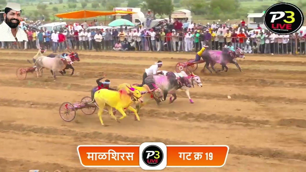 सर्व गट माळशिरस मैदान