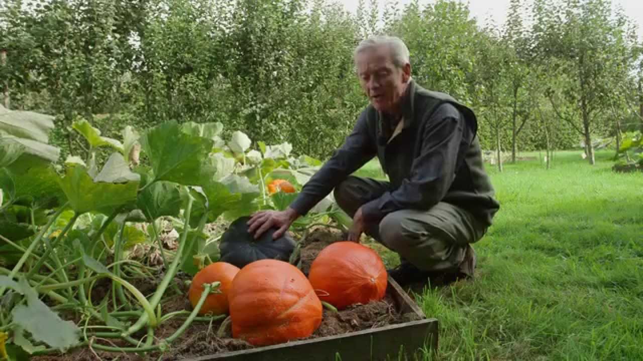 Normandy : the "Ferme Ornée"