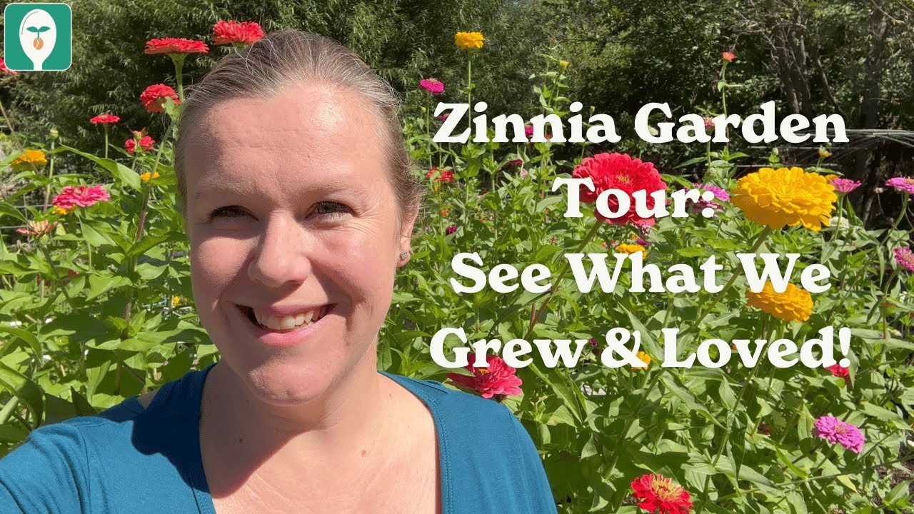 Zinnia Garden Tour: See What We Grew and Loved!