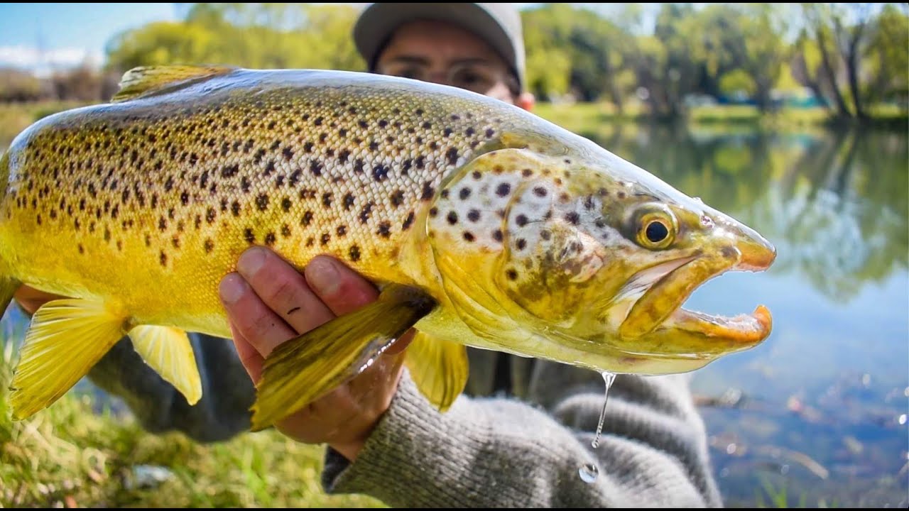 Last Minute BIG FISH Saved The Day!