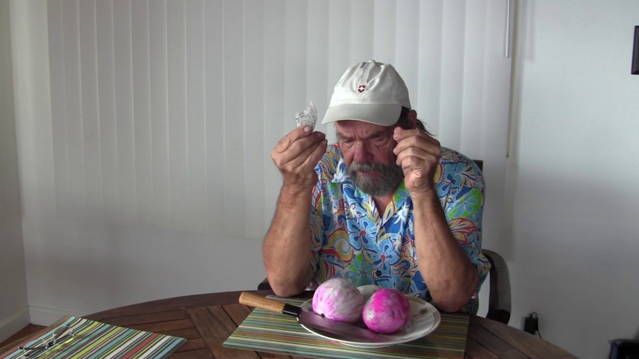 Dragon Fruit Taste Test