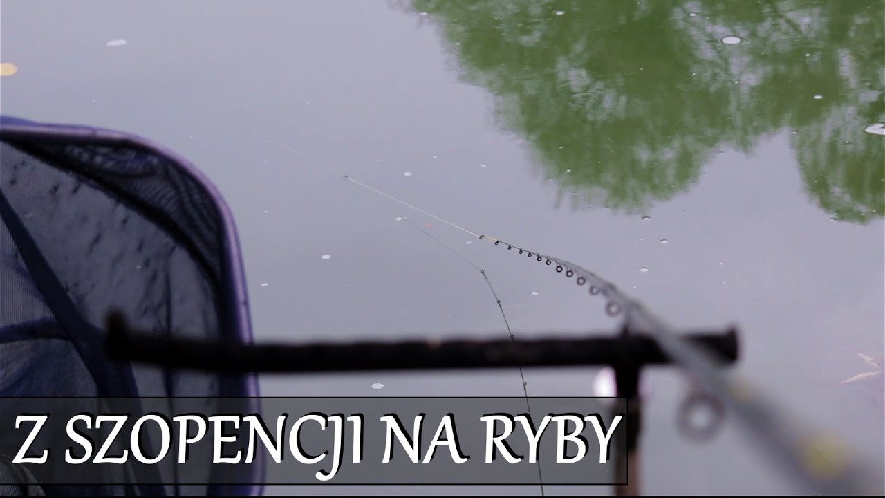 Z SZOPENCJI NA RYBY - RZEKA OBRA