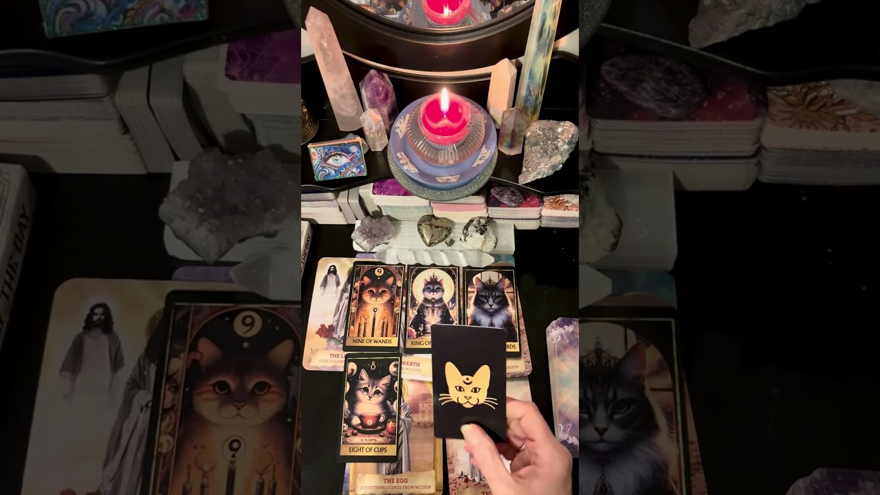 Reading for the truly Chosen Ones who find it at this time 💗