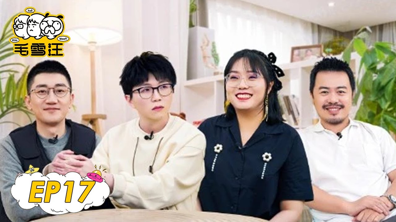 《毛雪汪》完整版第17期：金志文毛不易嗨唱成名曲