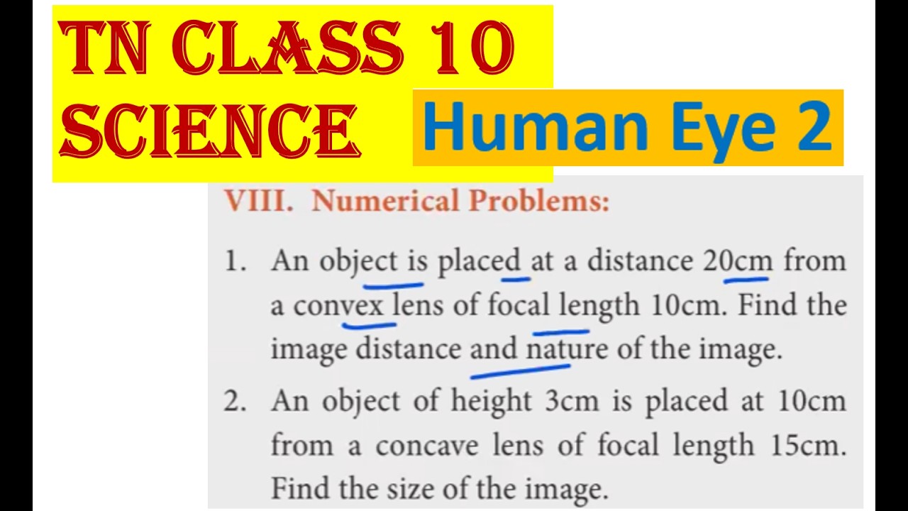 TN Class 10 Science Human Eye 2