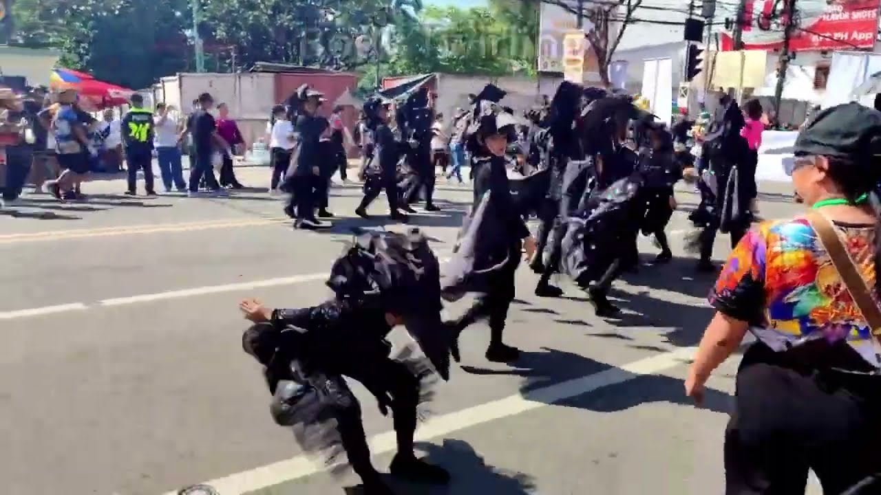 Black Shama of Cebu: a Young Acrobat