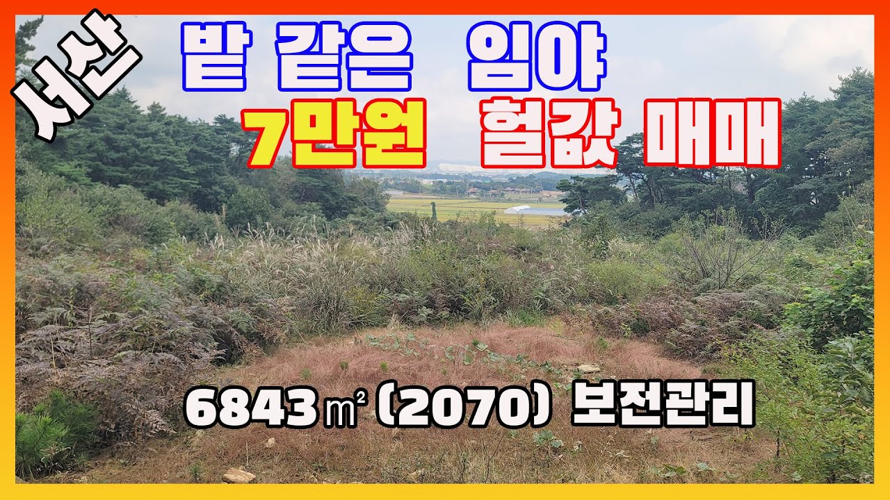 [물건번호3297]충남 서산시 인지면  