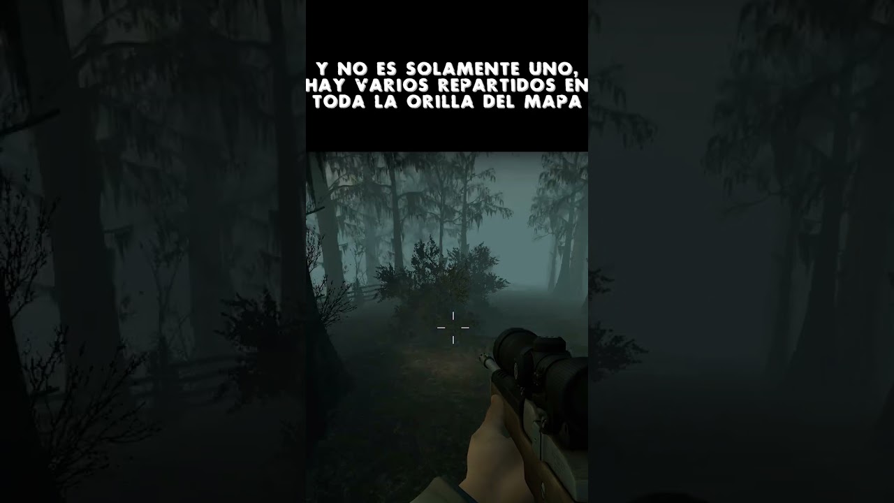 Hay algo extra&ntilde;o fuera del mapa - L4D2 #shorts
