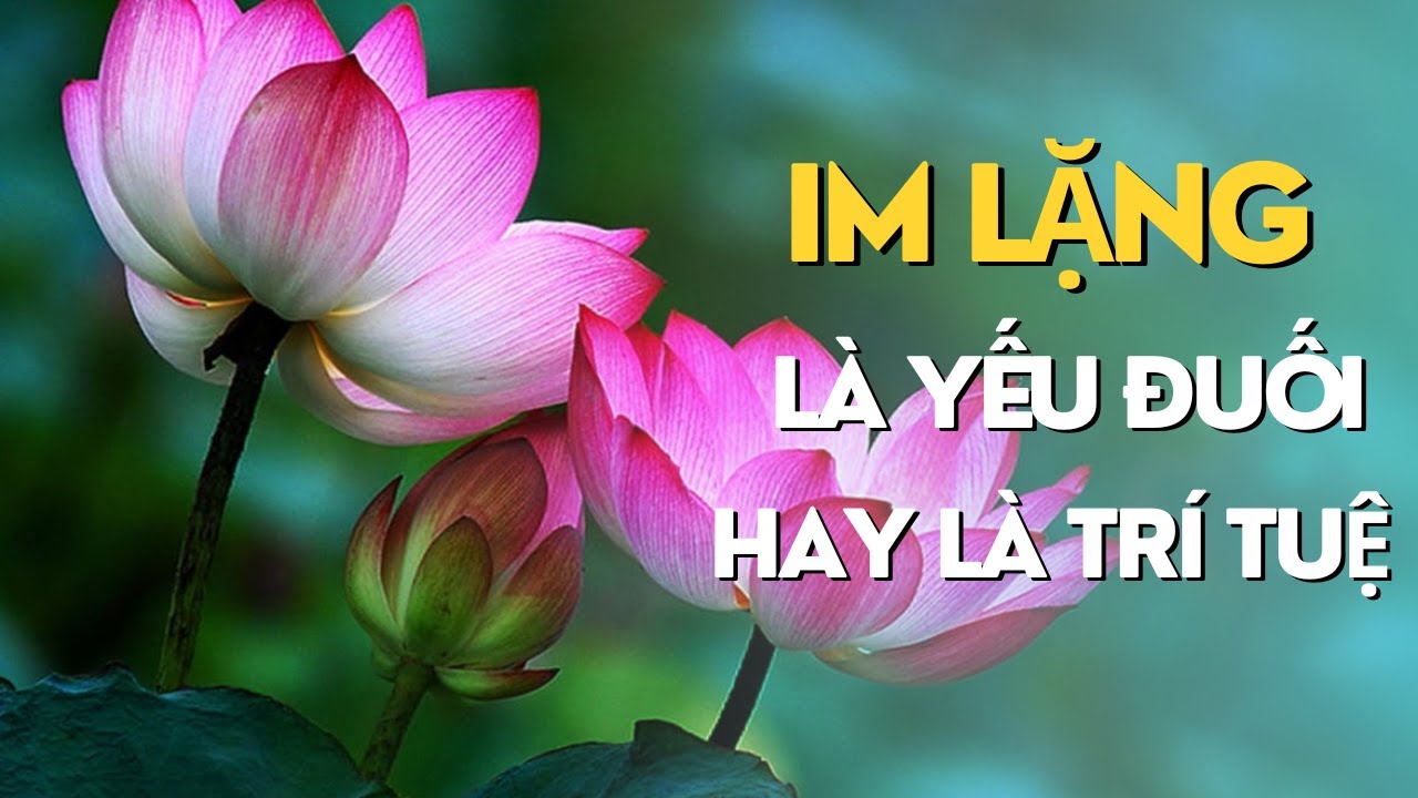 Im Lặng  Là Thua Thiệt, Yếu Đuối Hay Là Trí Tuệ