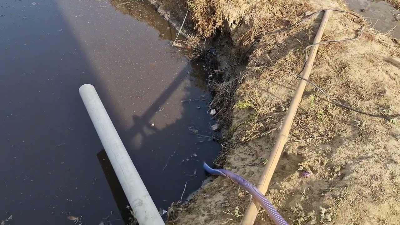 cleaning of Pig farm waste water