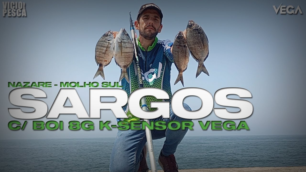 PESCA AOS SARGOS NOS PES DE GALO DA NAZARE - COM BOIA 8G K SENSOR VEGA & CANA POTENZA F11 VP#35