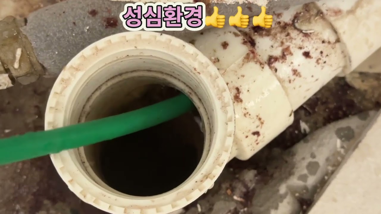 남동 구월동 치과 냄새제거 고압세척 및 냄새차단랩설치 완료 타업체실패현장 전문 성심환경 1855-2929 트랩설치 