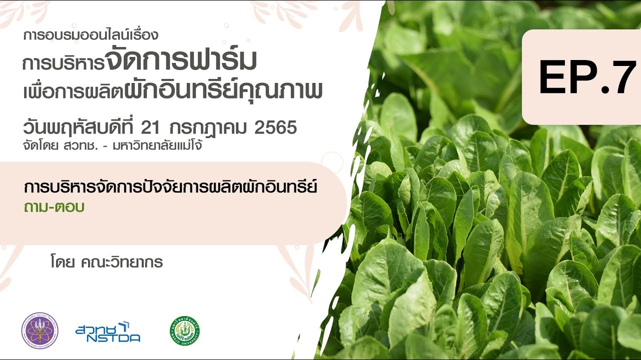 EP7. ถาม-ตอบ (Session การบริหารจัดการปัจจัยการผลิตผักอินทรีย์ )