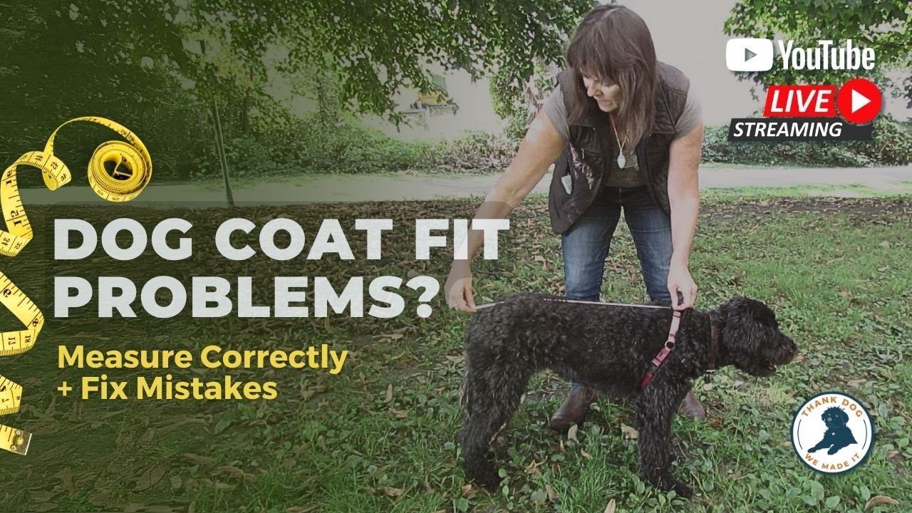Dog Coat Fit Problems - Measure Correctly + Fix Mistakes