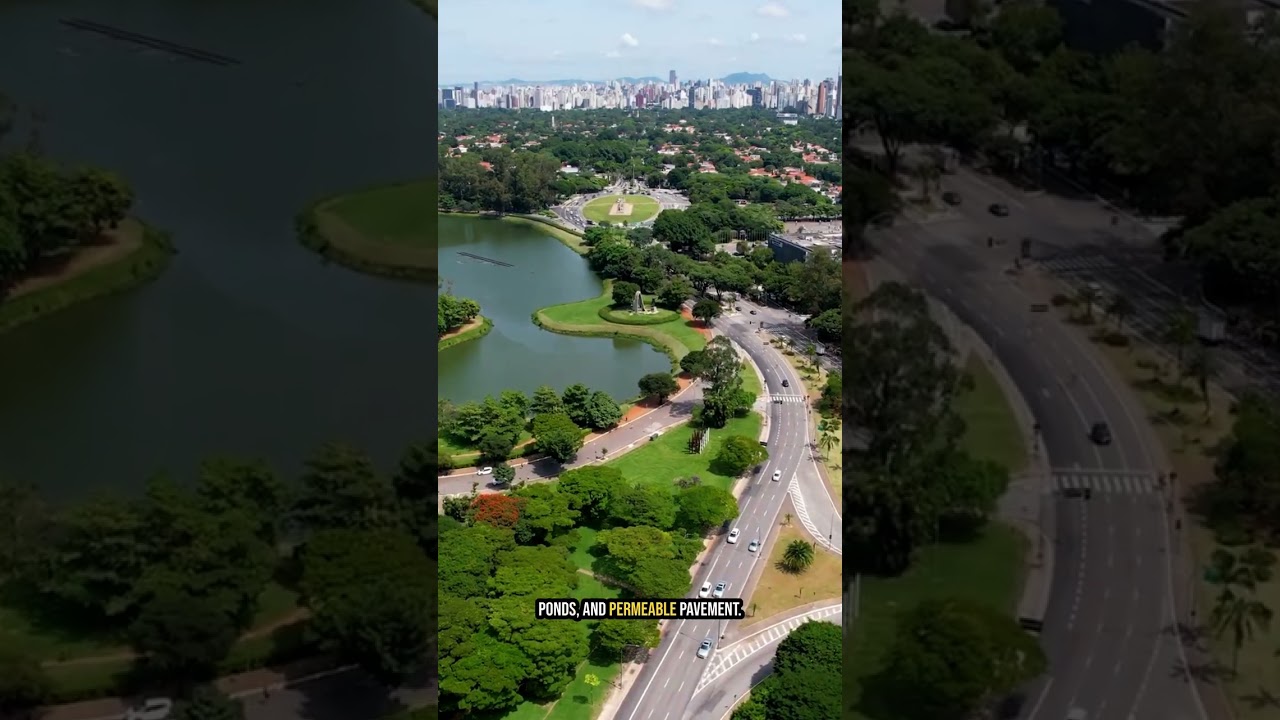 Flood insurance: How sponge cities help us weather climate change