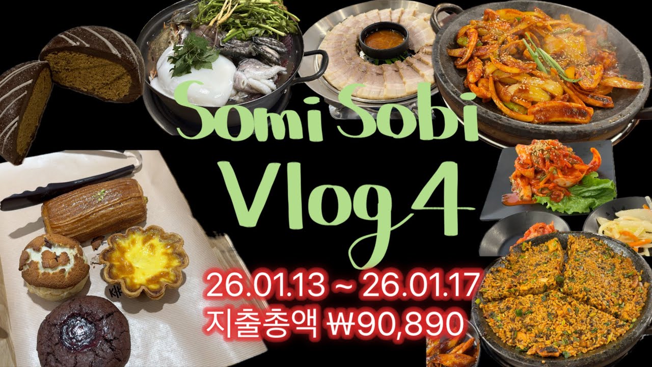 VLOG4 | 월급솜씻너 | 임상병리사일상 | 직장인소비브이로그 | 월급순삭