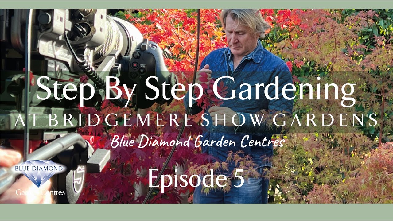 Садоводство шаг за шагом с Дэвидом Домони в Bridgemere Show Gardens &mdash; ЭПИЗОД 5