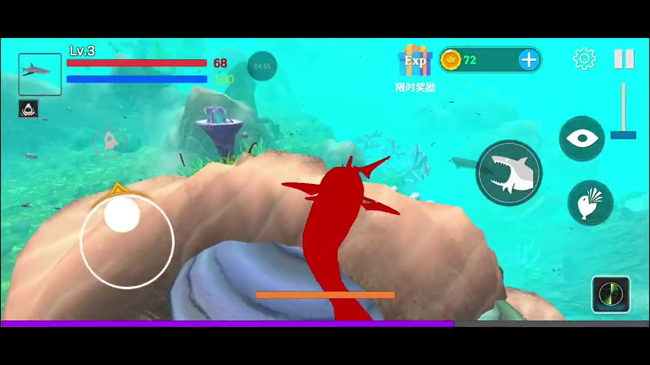Shark video