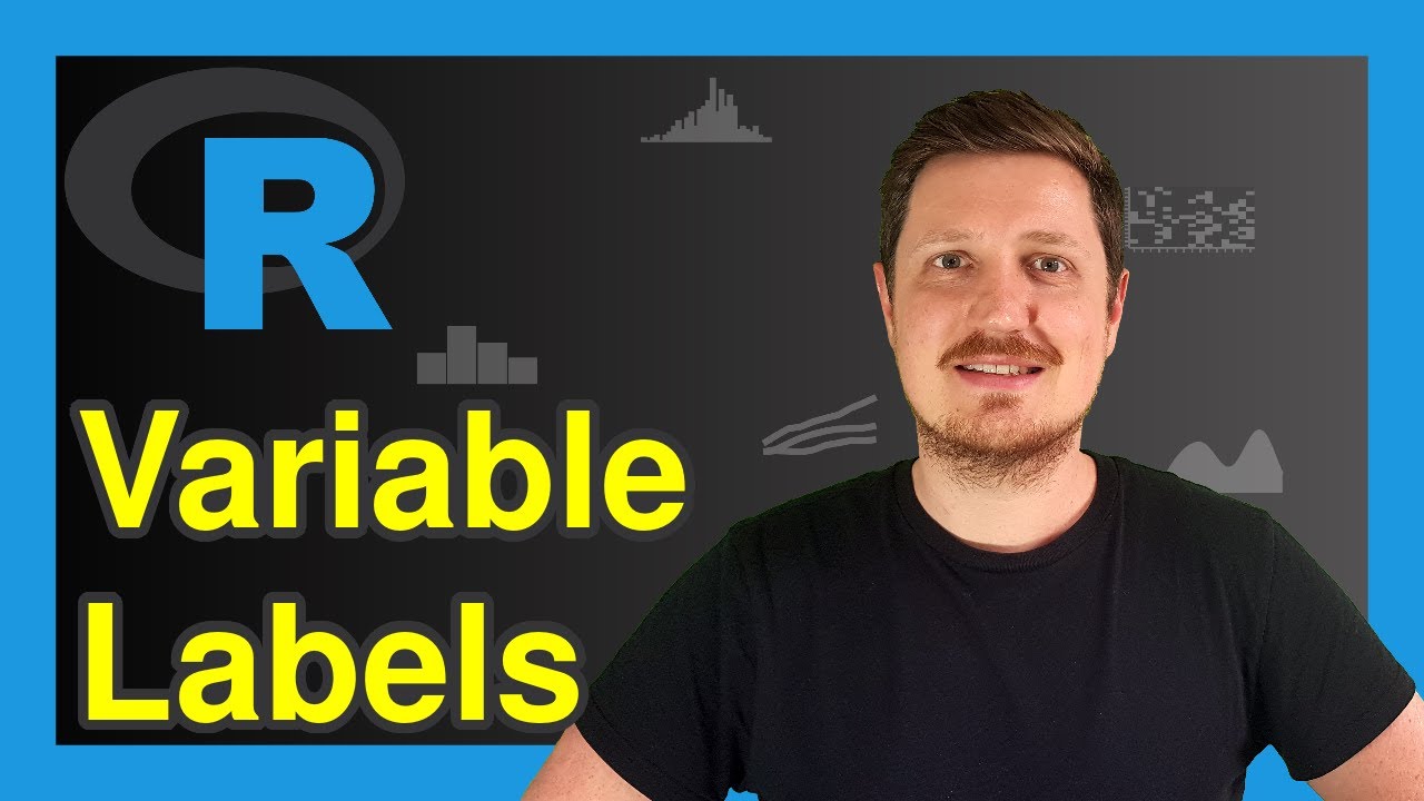 Add Variable Labels to Data Frame in R (Example) | Assign Text to Column | Hmisc & labelled Packages