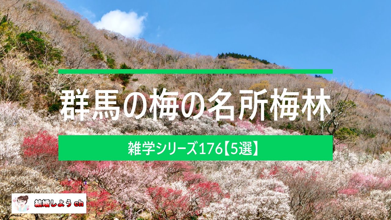 【雑学】【群馬の梅林】雑学シリーズ176「群馬の梅の名所梅林5選」#梅林　#梅の名所　#群馬県