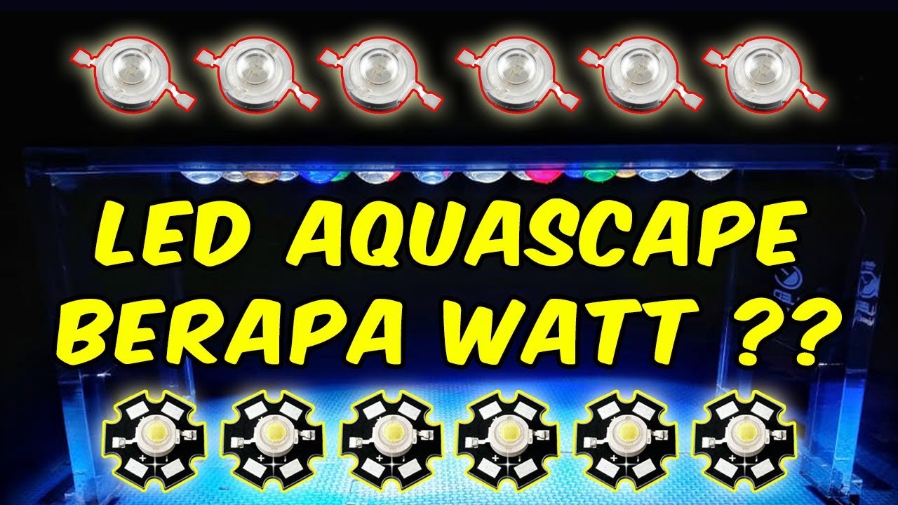 💡 Menghitung Kebutuhan Cahaya Aquascape 😎👍