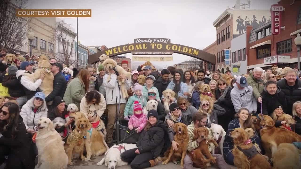 Goldens in Golden: Everything you need to know about this beloved event on Feb. 7