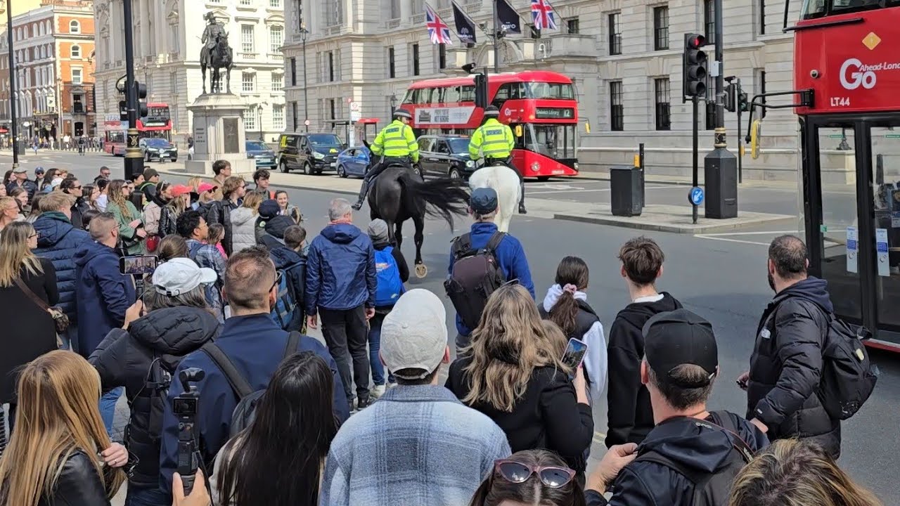 UNBELIEVABLE: Bus Driver Does This to the Police Horses in front of The Horse Guards