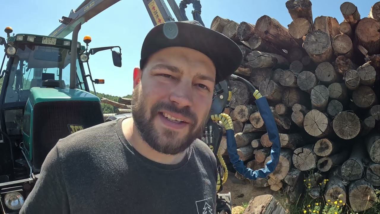 Darf man stockiges Holz verheizen? Die Wahrheit aus der Praxis!