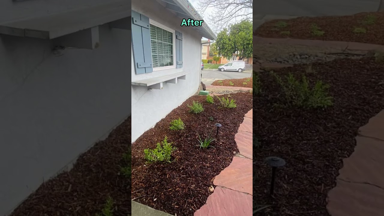 Thirsty Lawn Conversion, Water Wise Eco Garden