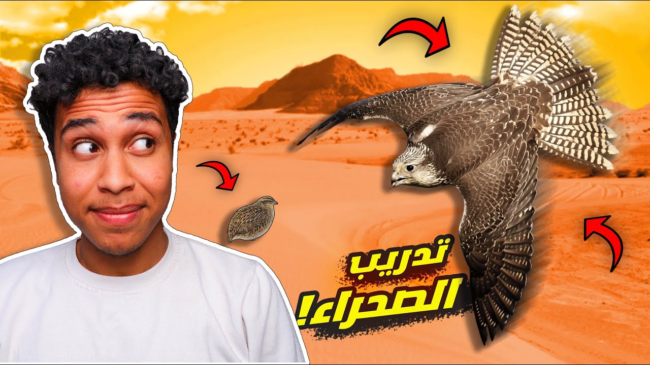 دربت الصقر بتاعي في الصحراء لأول مرة!!🦅😱