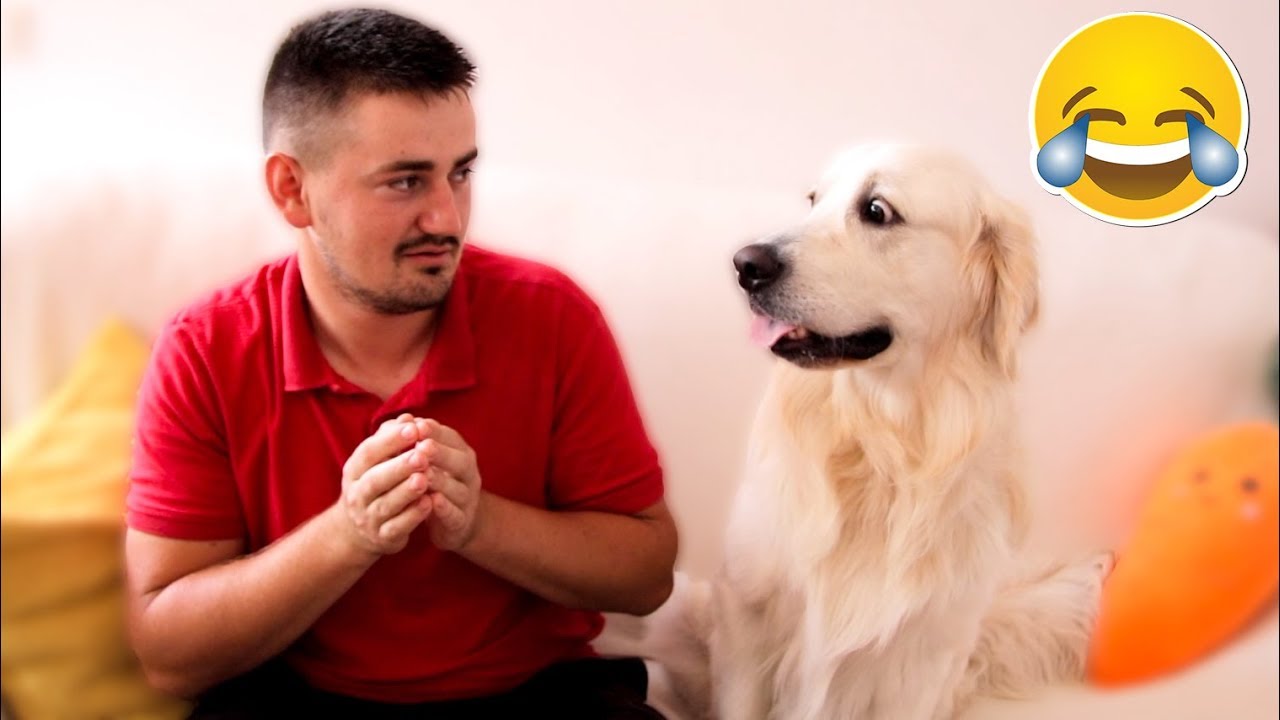 Funny Dog Reaction to Different Human Sounds [BEST REACTION]