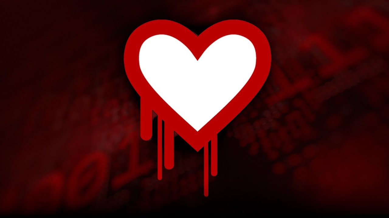 Start Hacking with the HEARTBLEED vulnerability: NahamCon CTF