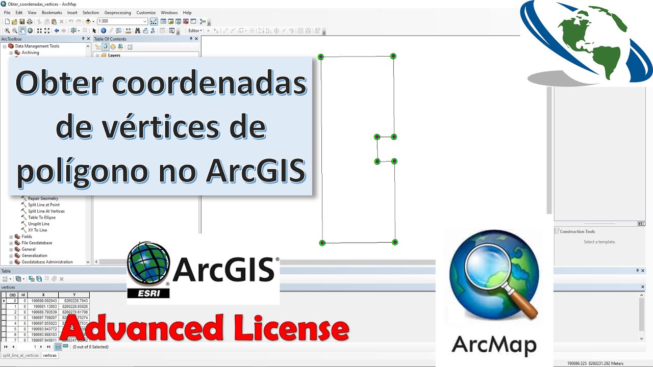 Como obter coordenadas de vértices de polígonos no ArcGIS (Advanced License)