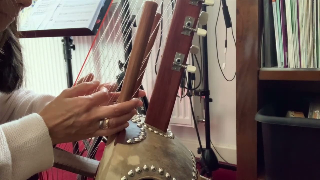Kora noodling - west African harp