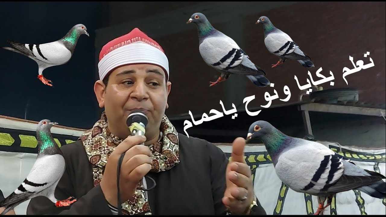 تعلم بكايا ونوح ياحمام الشيخ على العربى من ليلة الحاج محمود الزمار