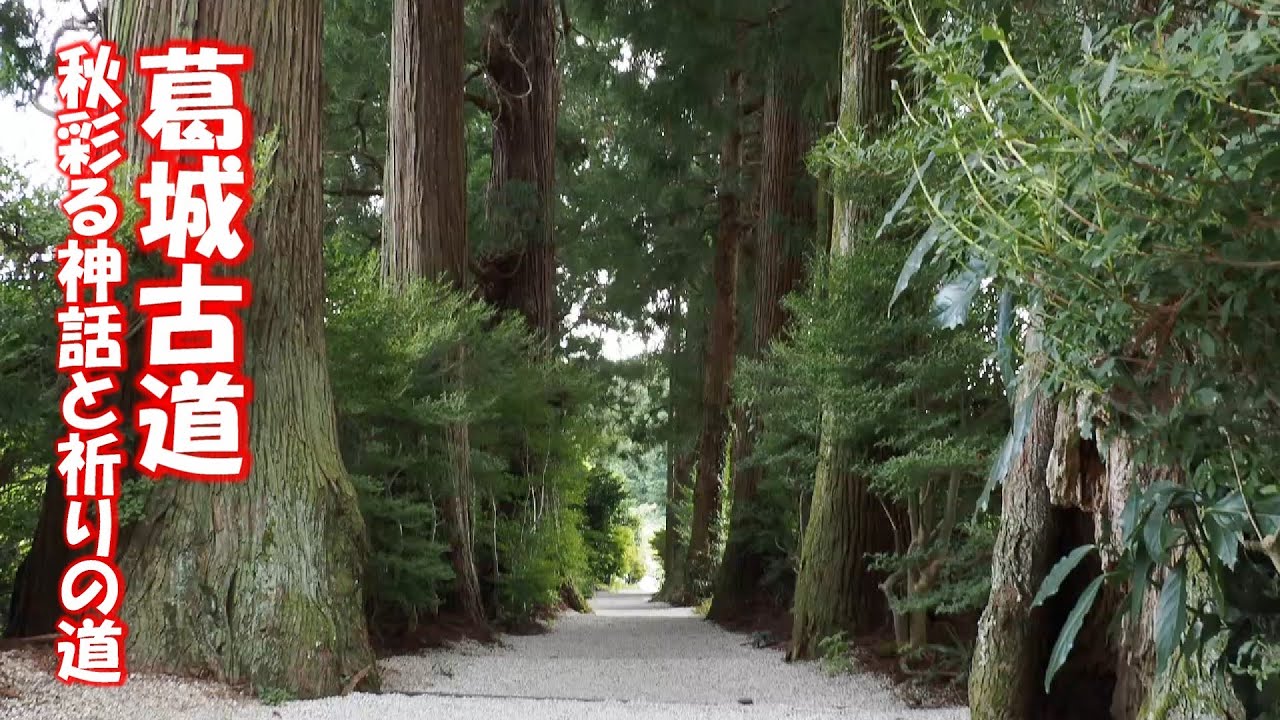 葛城古道へ
