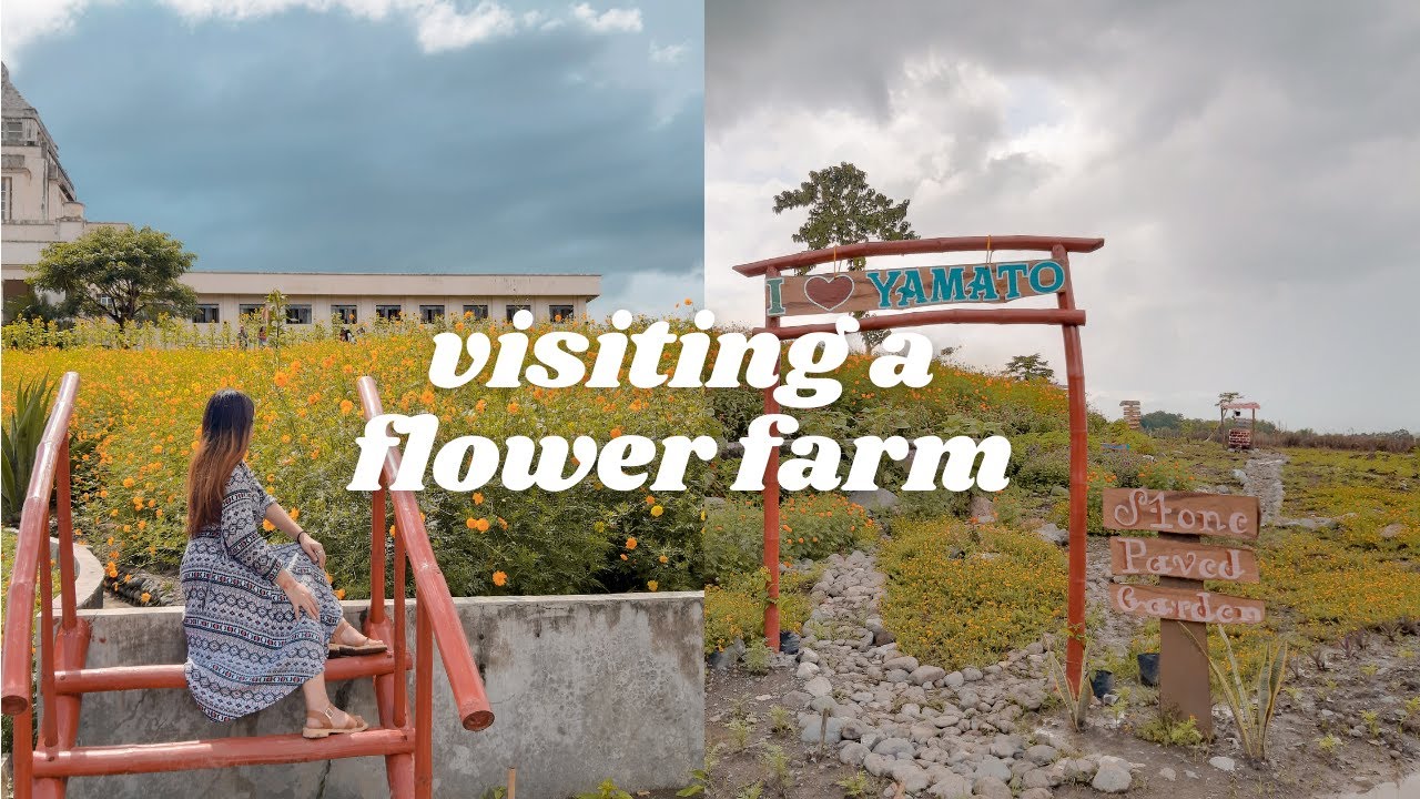 Yamato Flower Farm | Iloilo Vlog