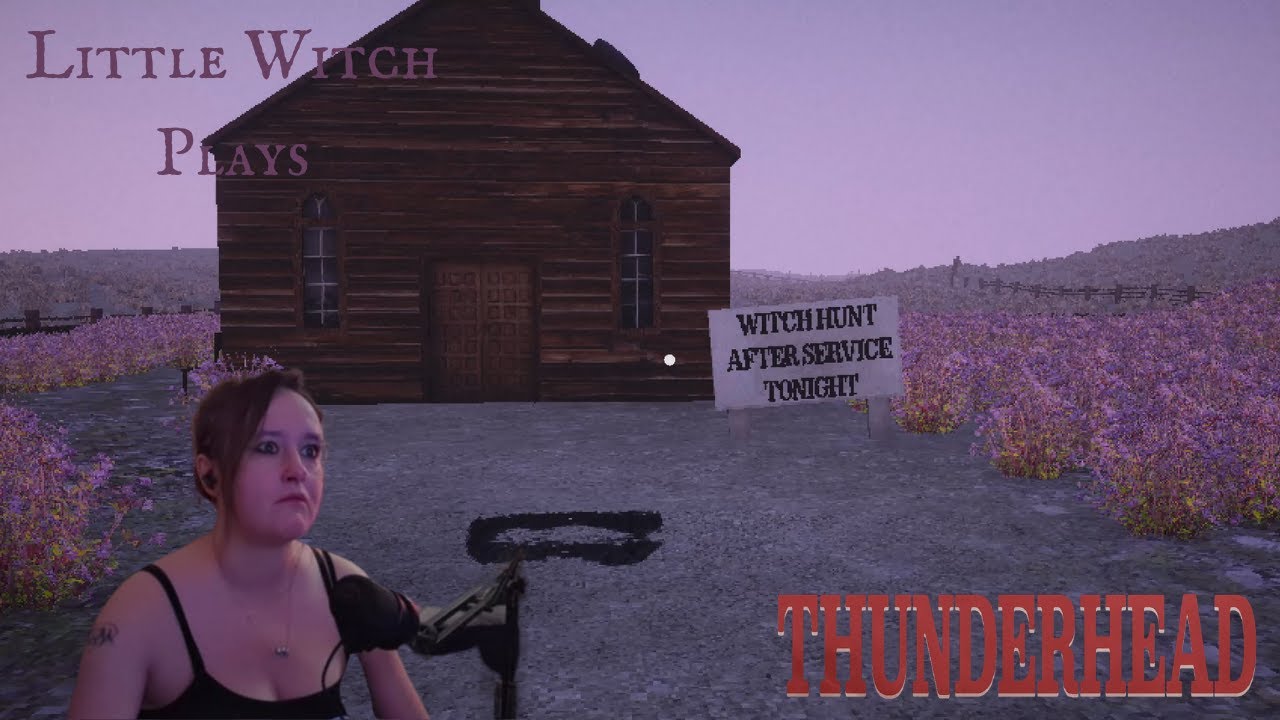 What happened to everyone? - Thunderhead